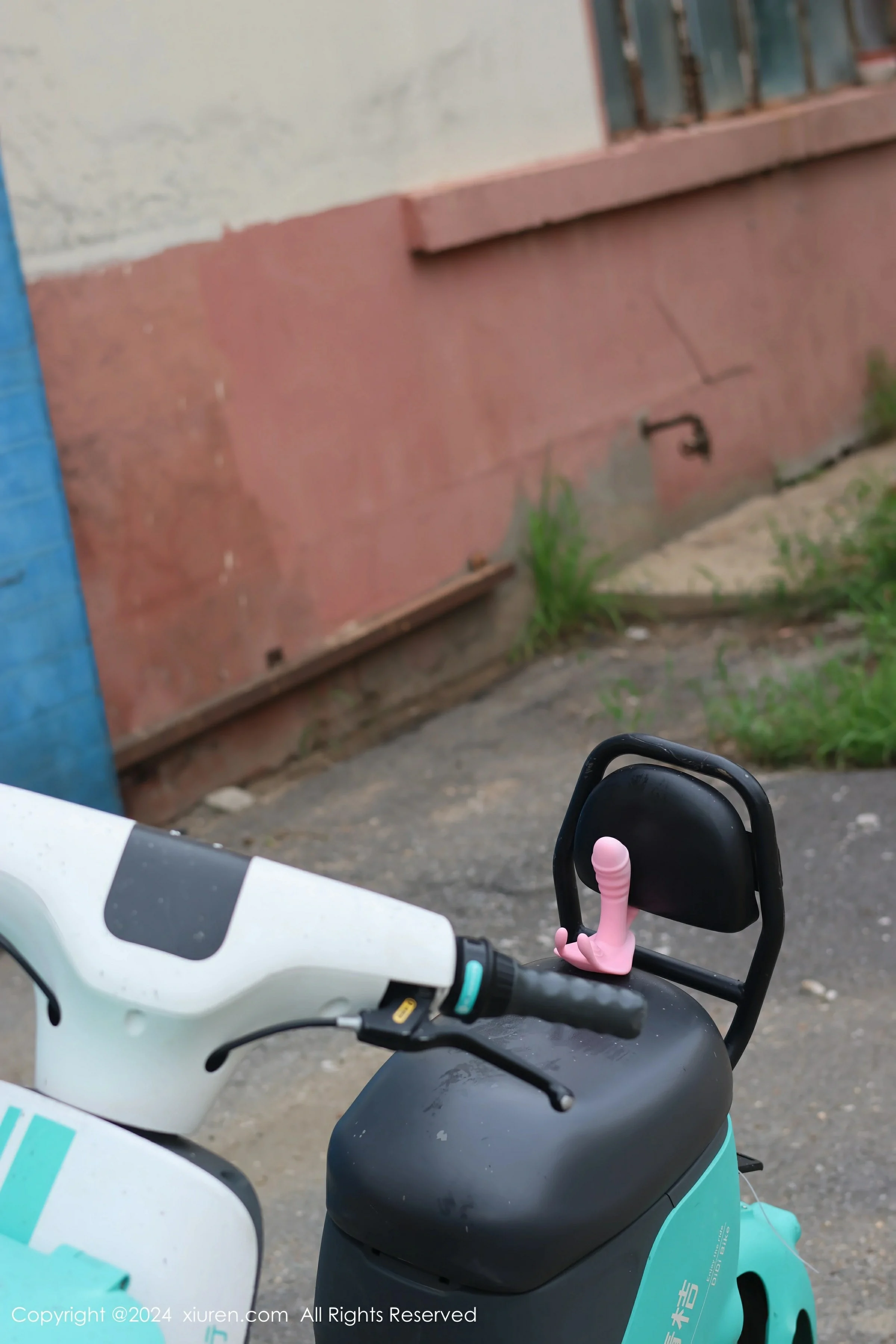 [XiuRen秀人网] 2024.08.16 No.9024 小薯条nienieXiuren秀人写真高清美女套图写真下载-看套图最新发布论坛Xiuren秀人写真高清美女套图写真下载-看套图免费套图Xiuren秀人写真高清美女套图写真下载-看套图看套图