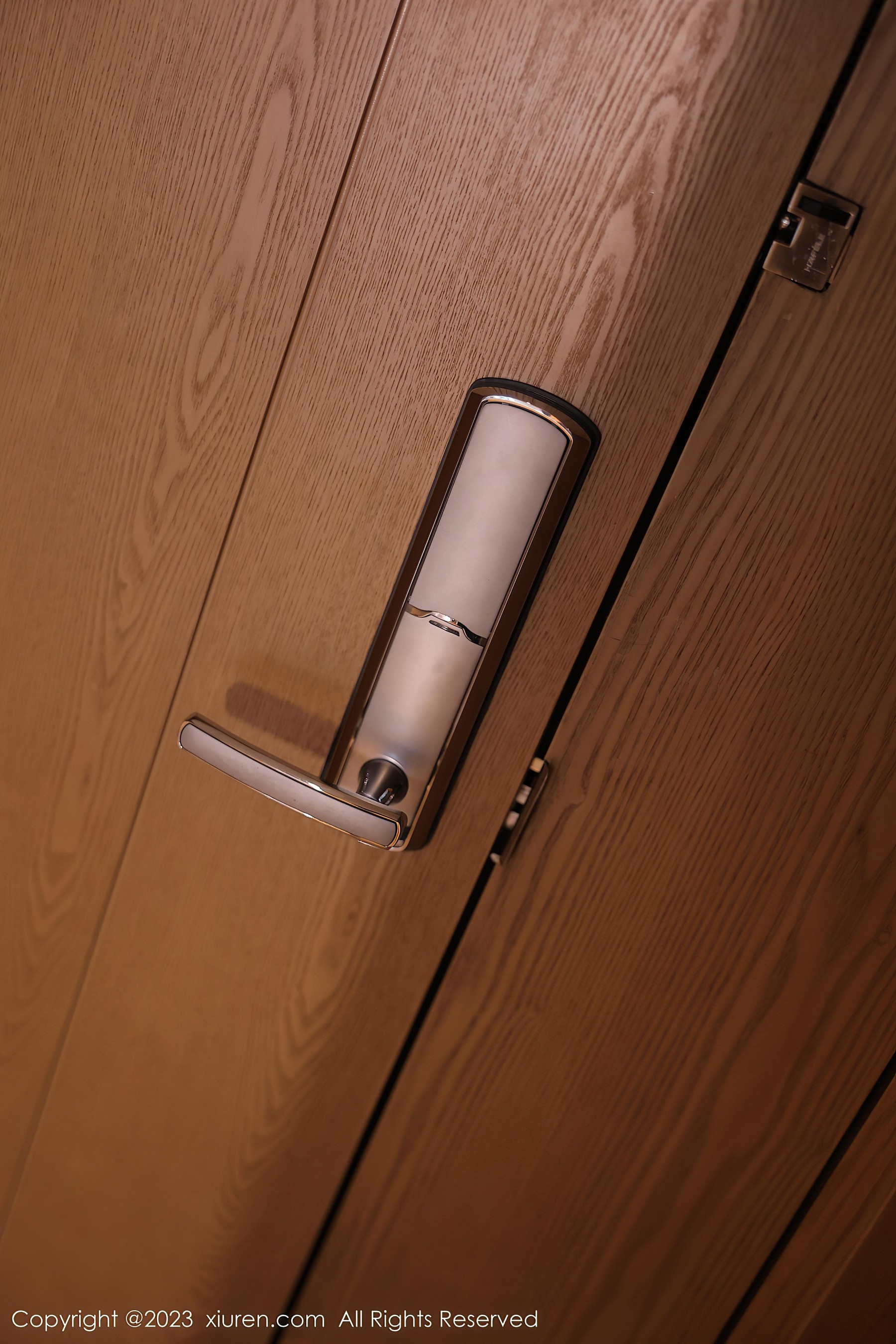 [XiuRen秀人网]2023.08.15 NO.7237 幼幼 黑色透视女仆制服与情趣内衣加黑丝美腿性感私房写真集Xiuren秀人写真高清美女套图写真下载-看套图看套图